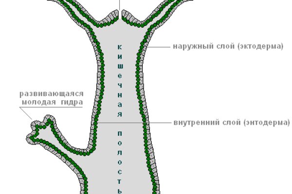 Кракен маркетплейс магазин